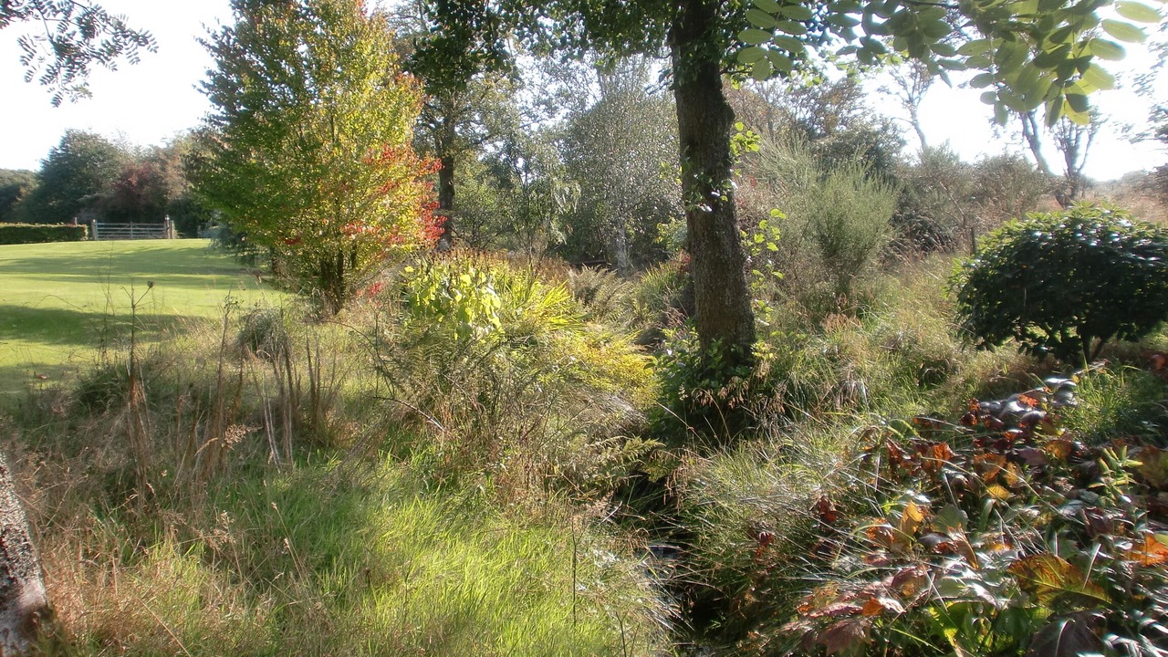 Photo of Outdoor in Glasgow