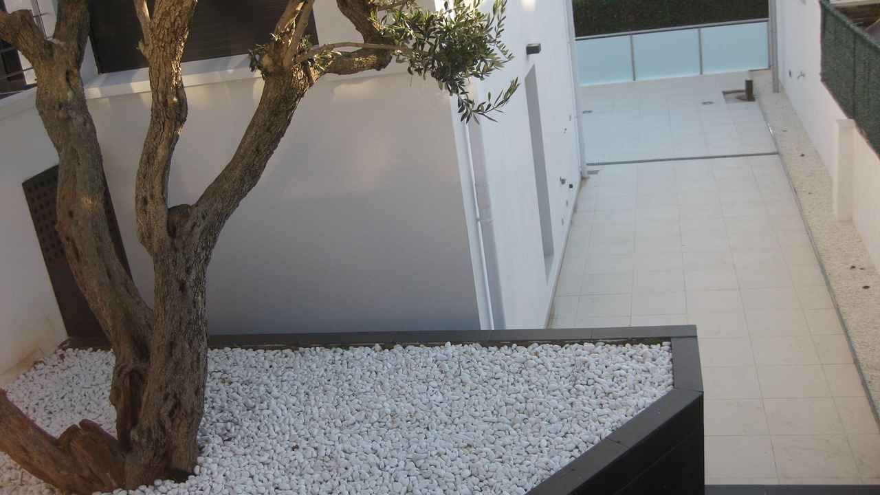 Photo of Outdoor in Roses Town Center