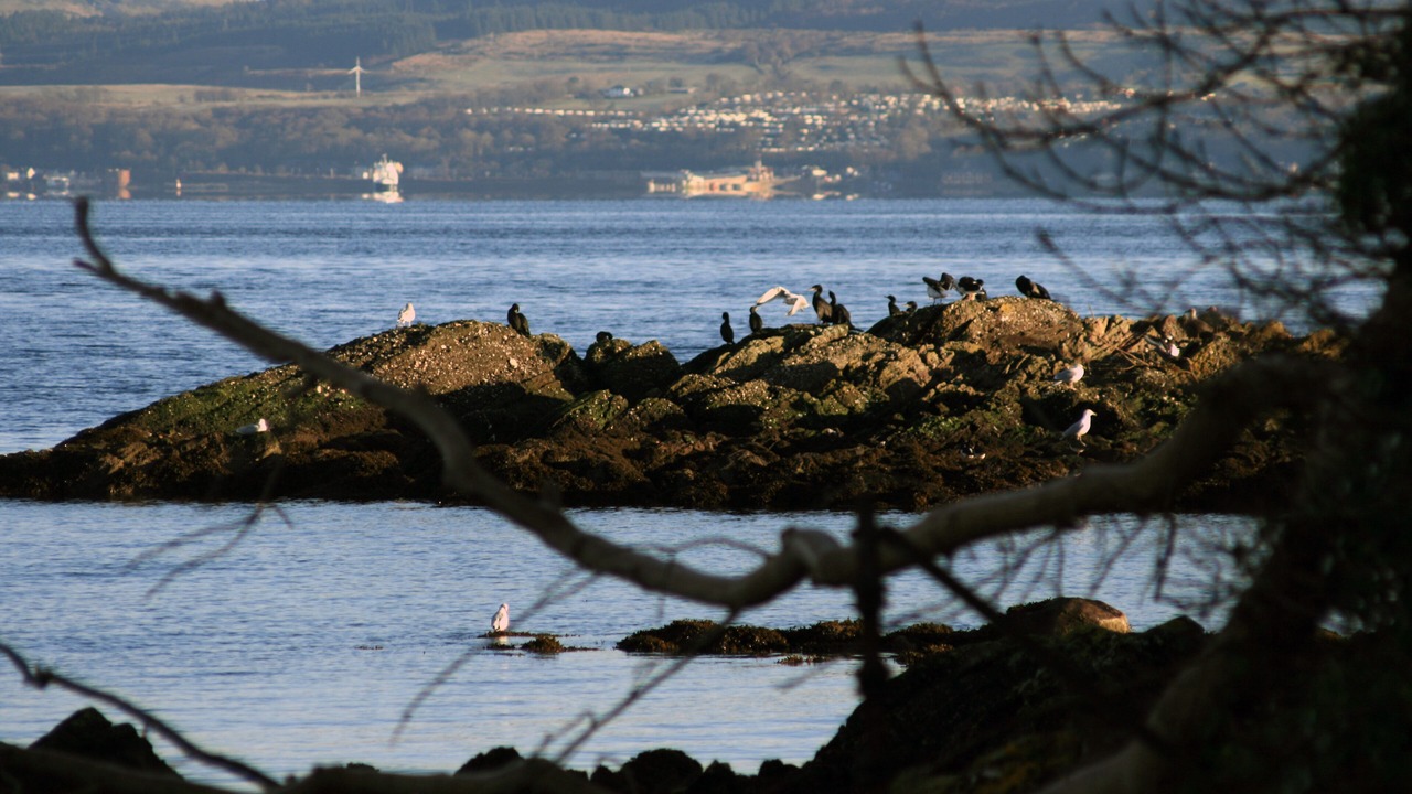 Photo of Others in Rothesay