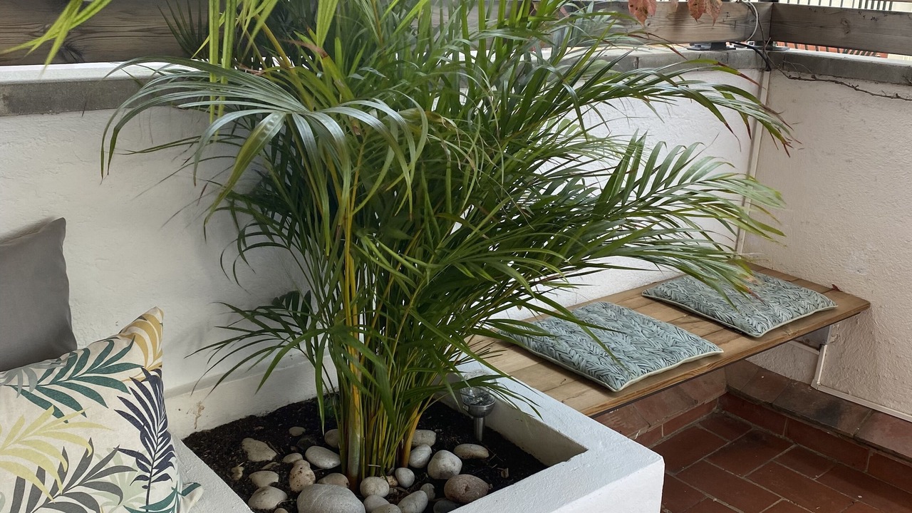Photo of Outdoor in Llanca