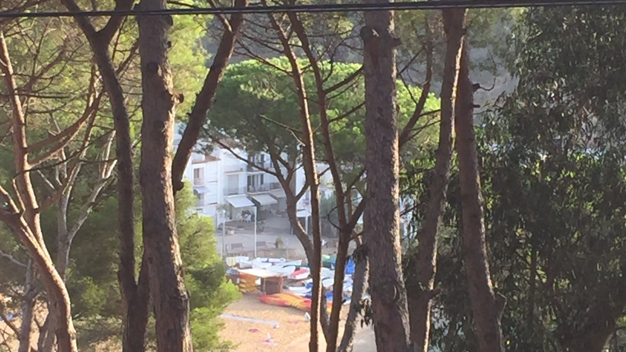 Photo of Outdoor in Tamariu