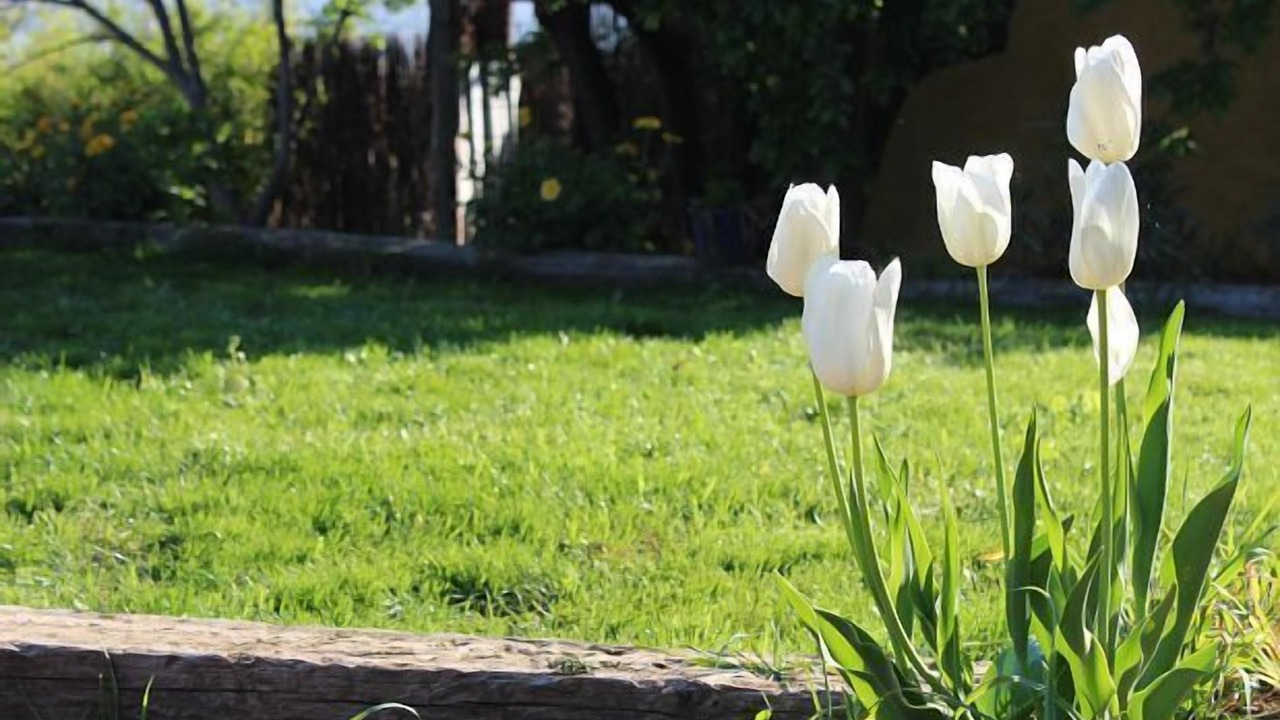 Photo of Outdoor in Sobrestany