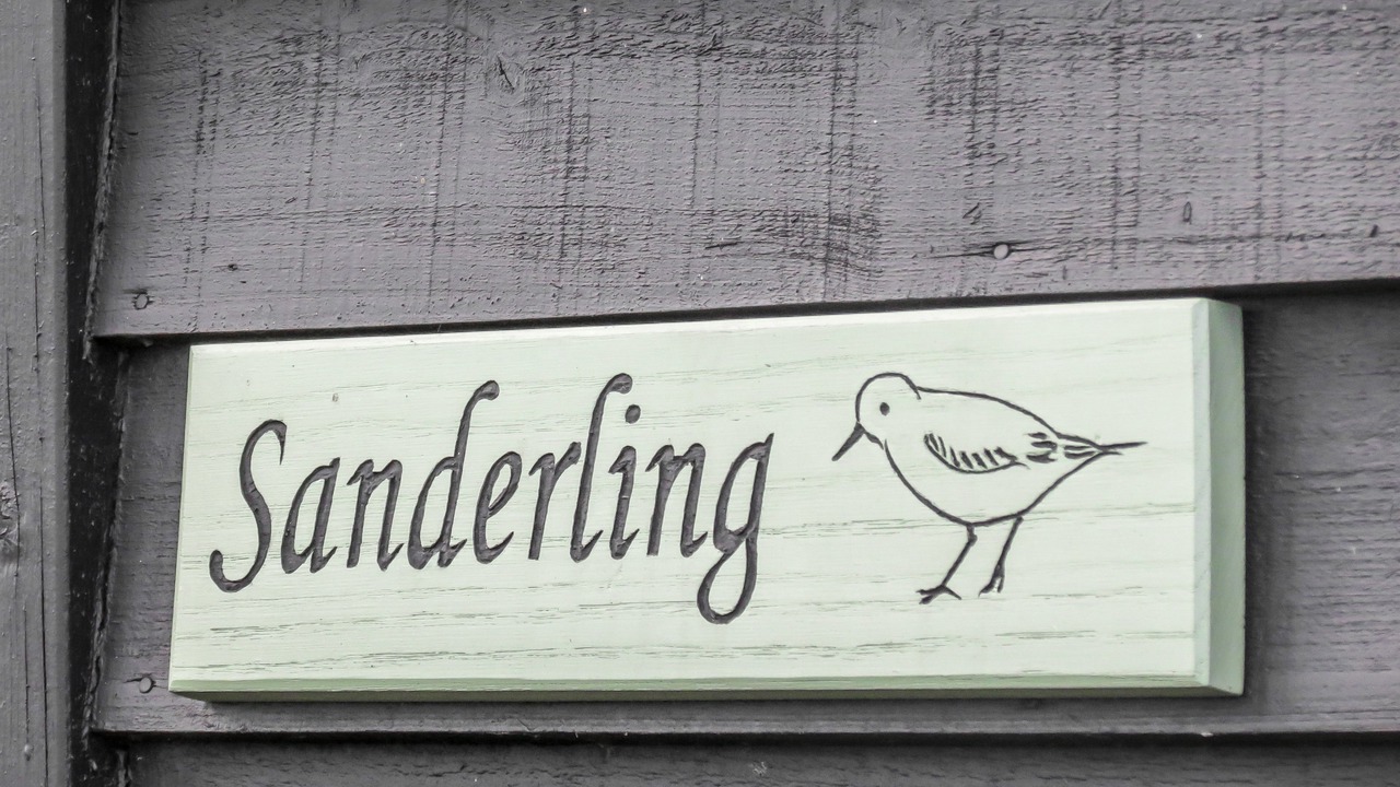 Photo of Outdoor in Saxmundham