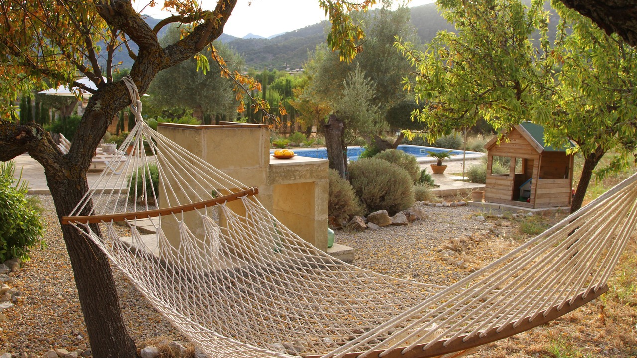 Photo of Outdoor in Selva
