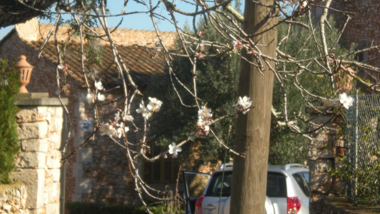 Photo of Outdoor in Felanitx