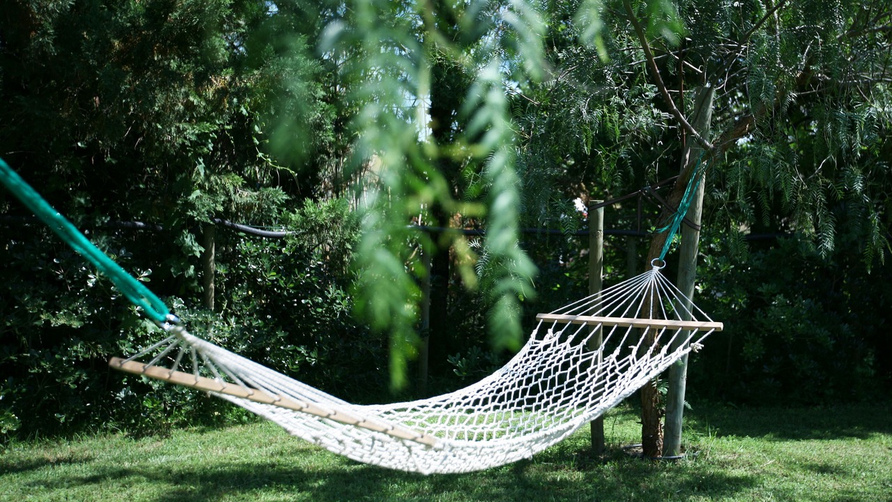 Photo of Outdoor in Llado