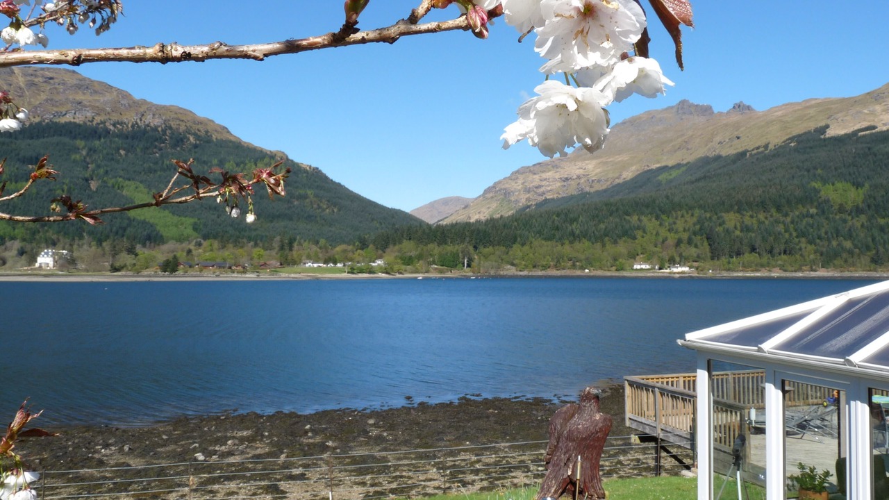 Photo of Outdoor in Arrochar
