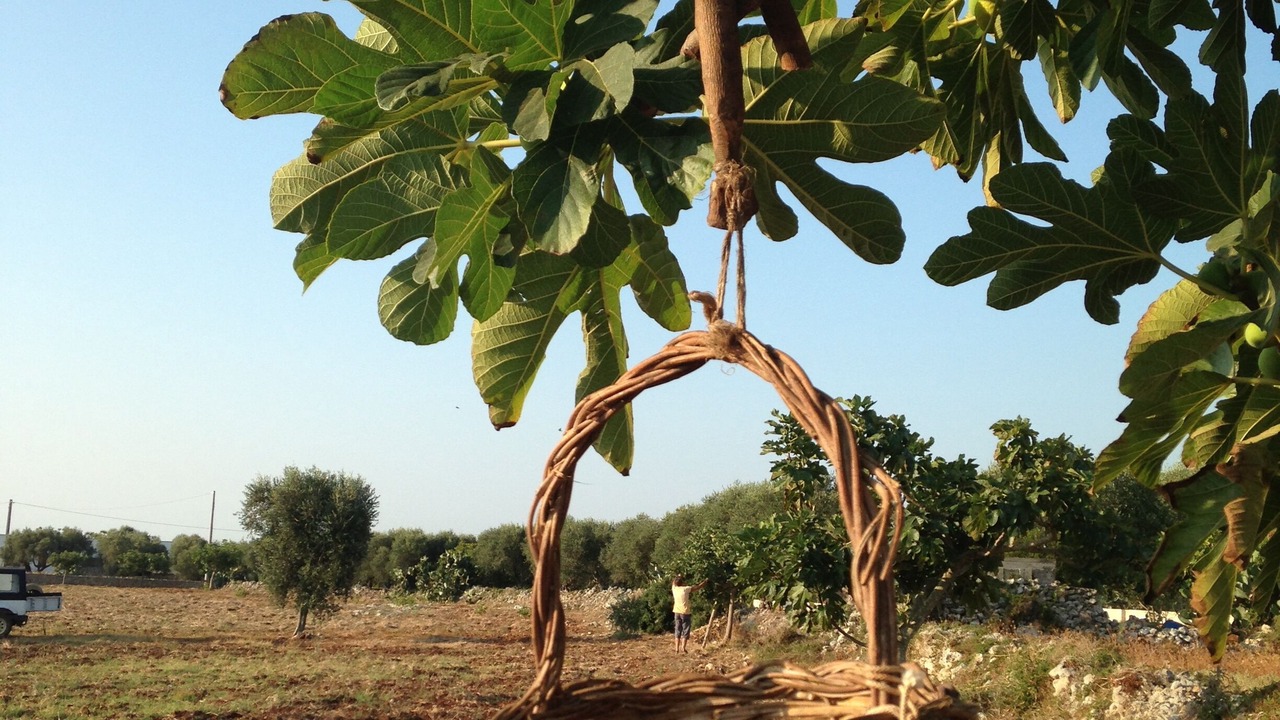 Photo of Outdoor in Tricase