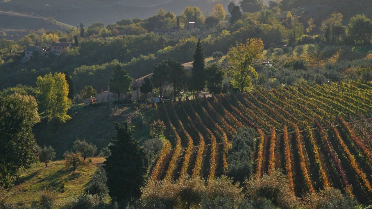 Photo of Outdoor in Tavarnelle Val di Pesa