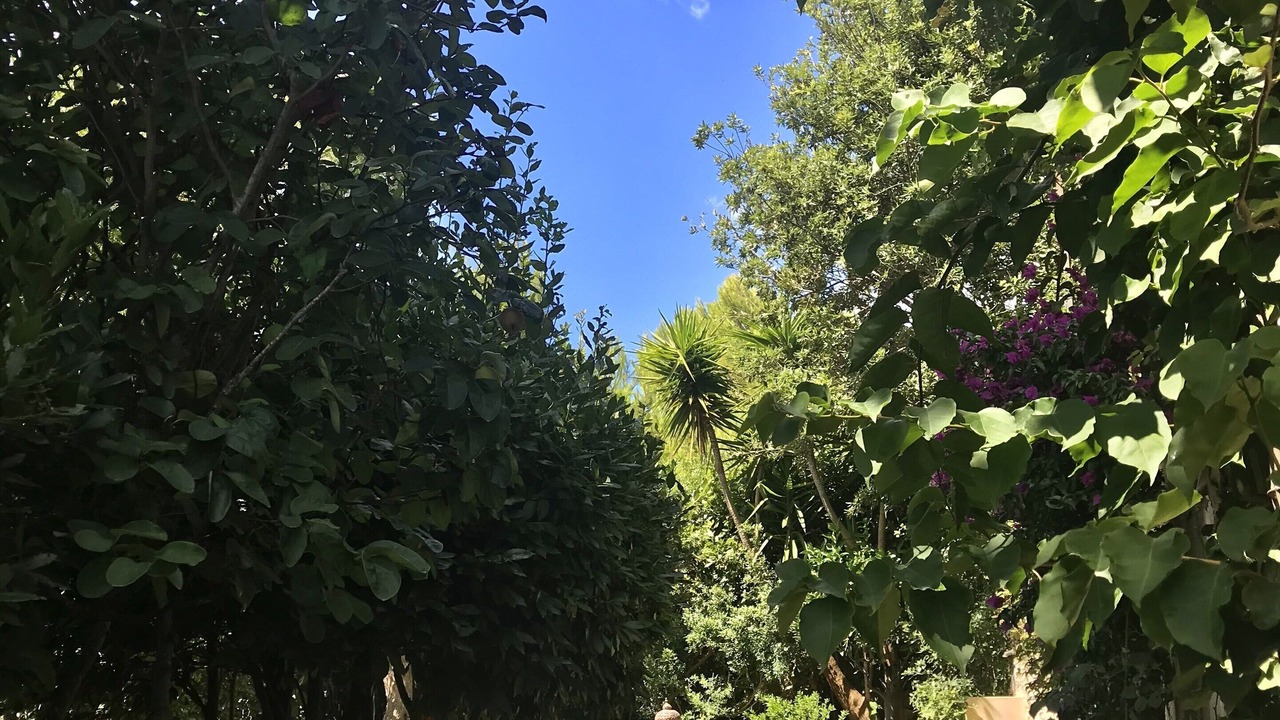 Photo of Outdoor in Marina di Marittima
