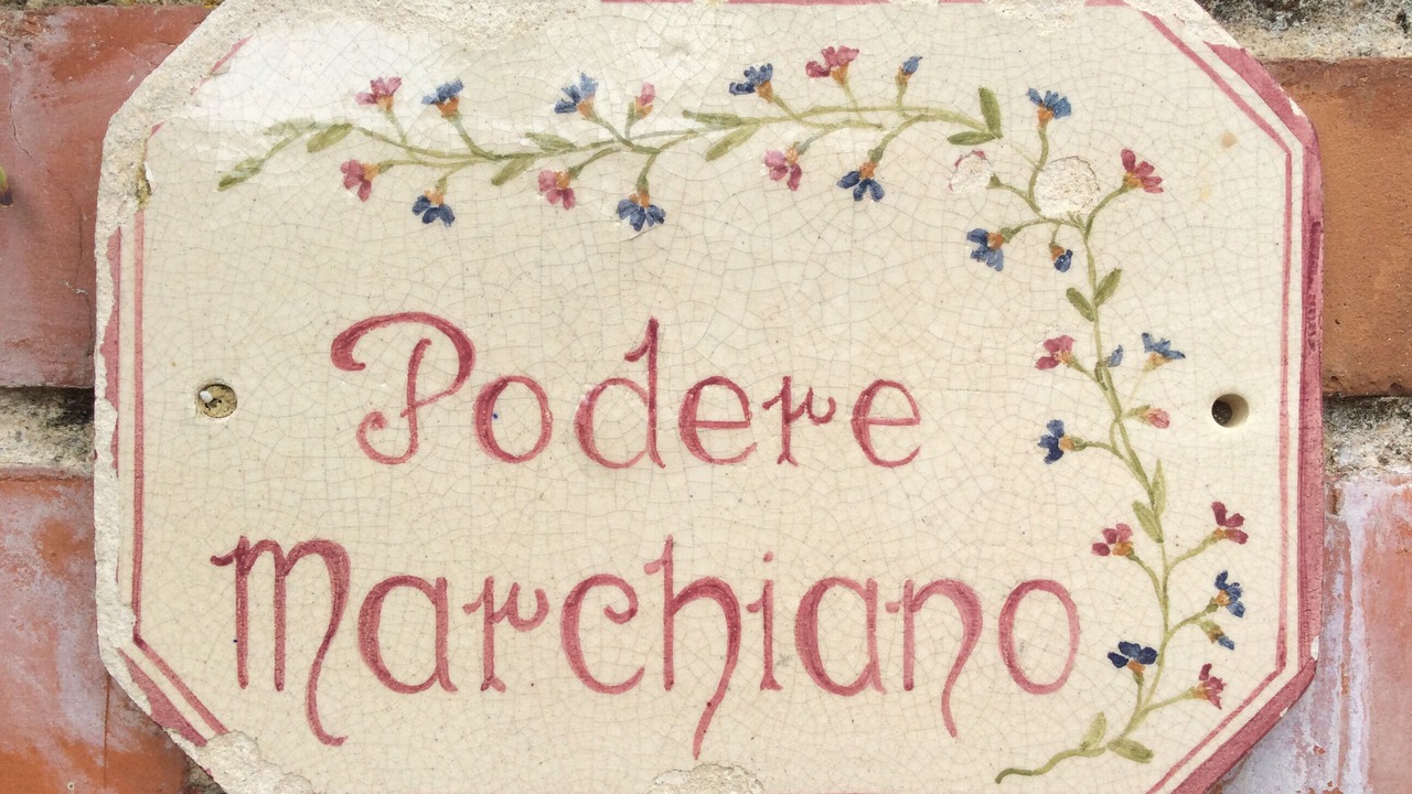 Photo of Outdoor in Larciano