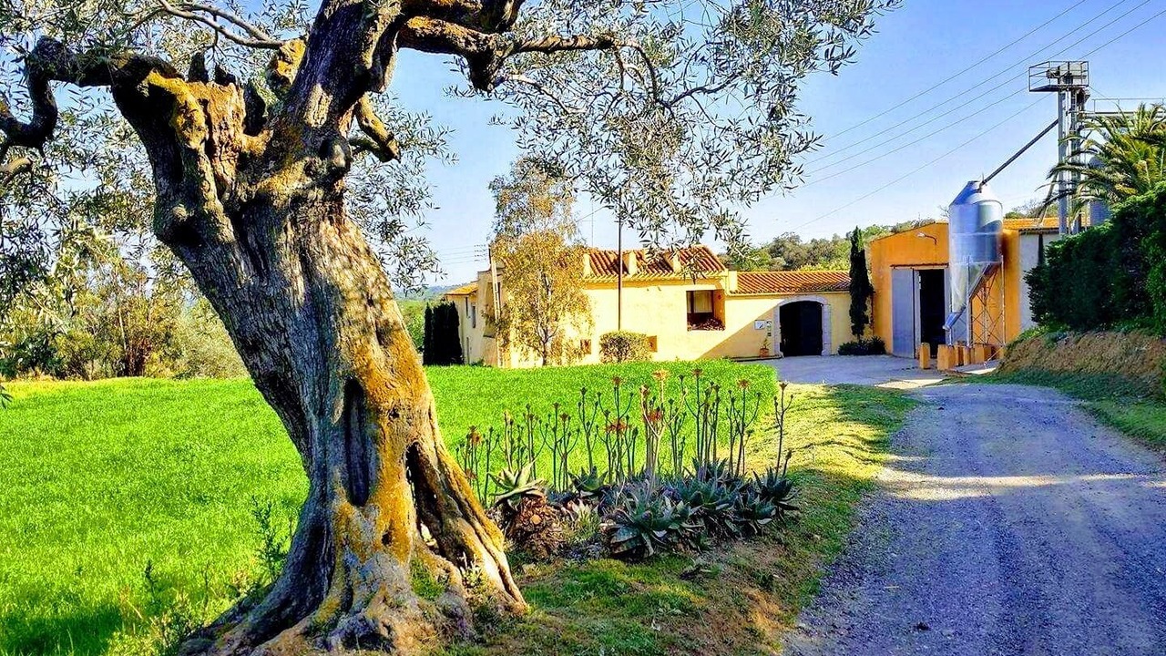 Photo of Outdoor in Garriguella