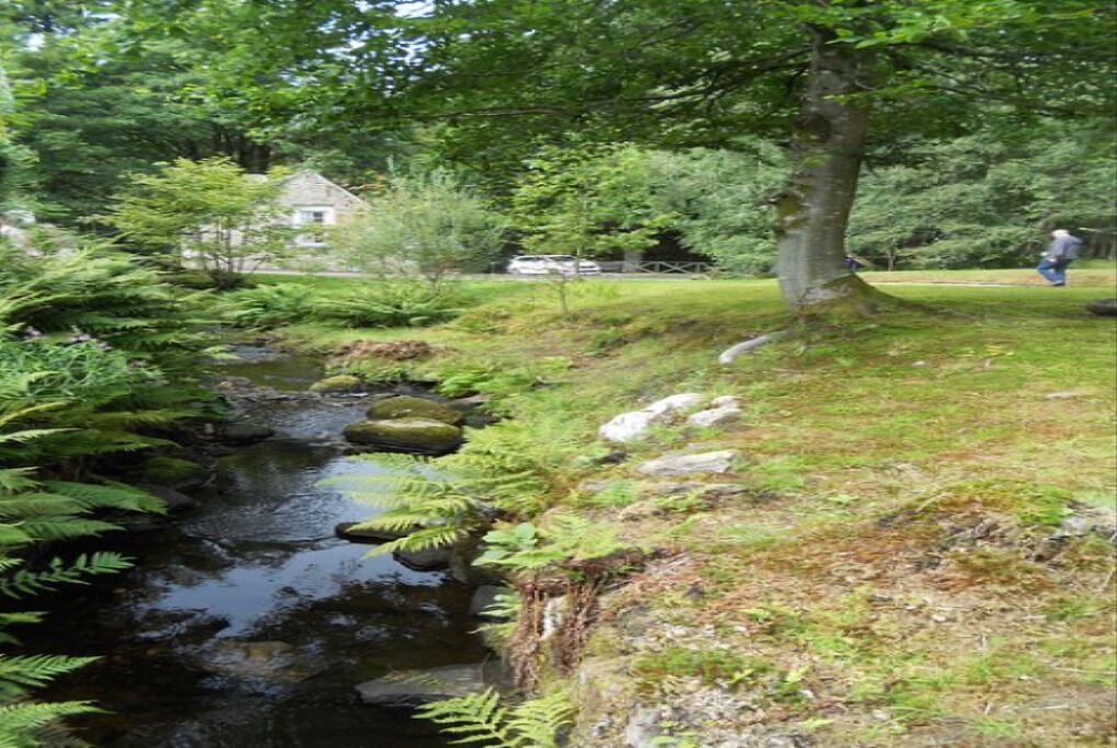 Photo of Outdoor in Killin