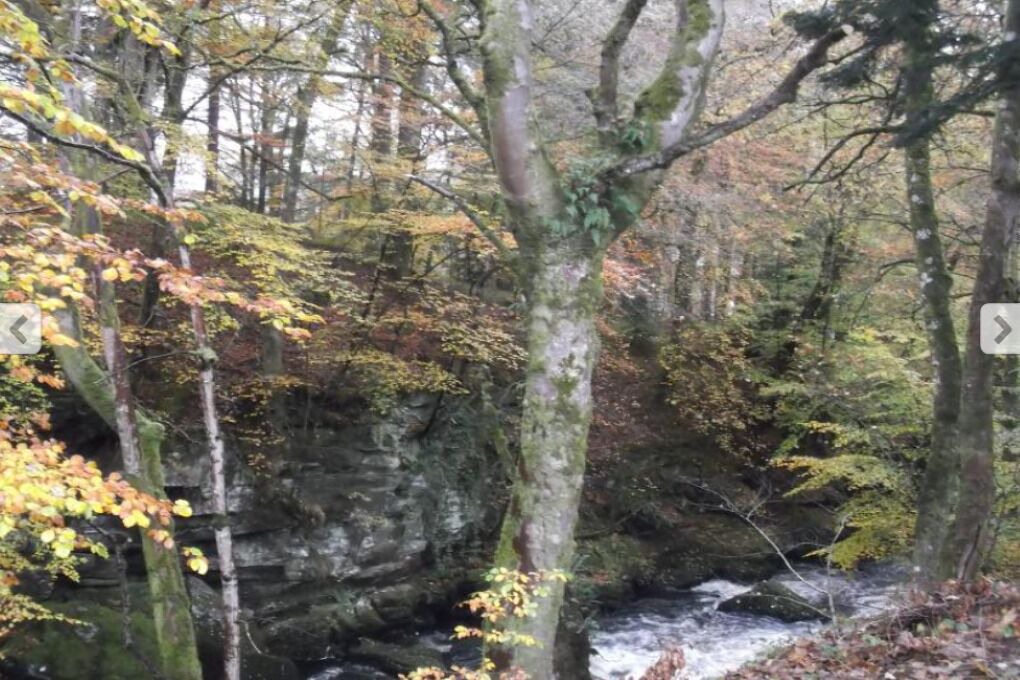 Photo of Outdoor in Killin