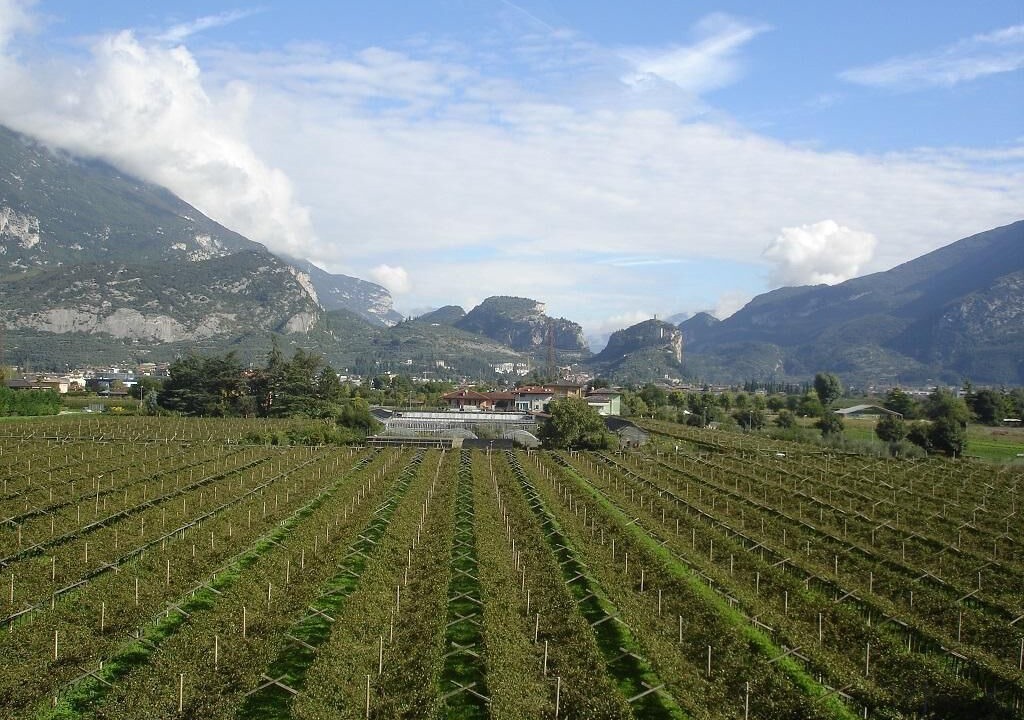 Photo of Outdoor in Arco