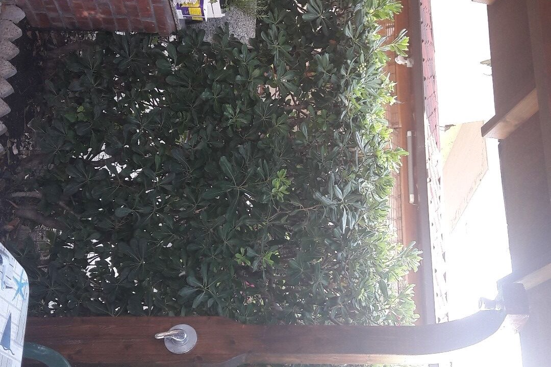 Photo of Outdoor in Vada