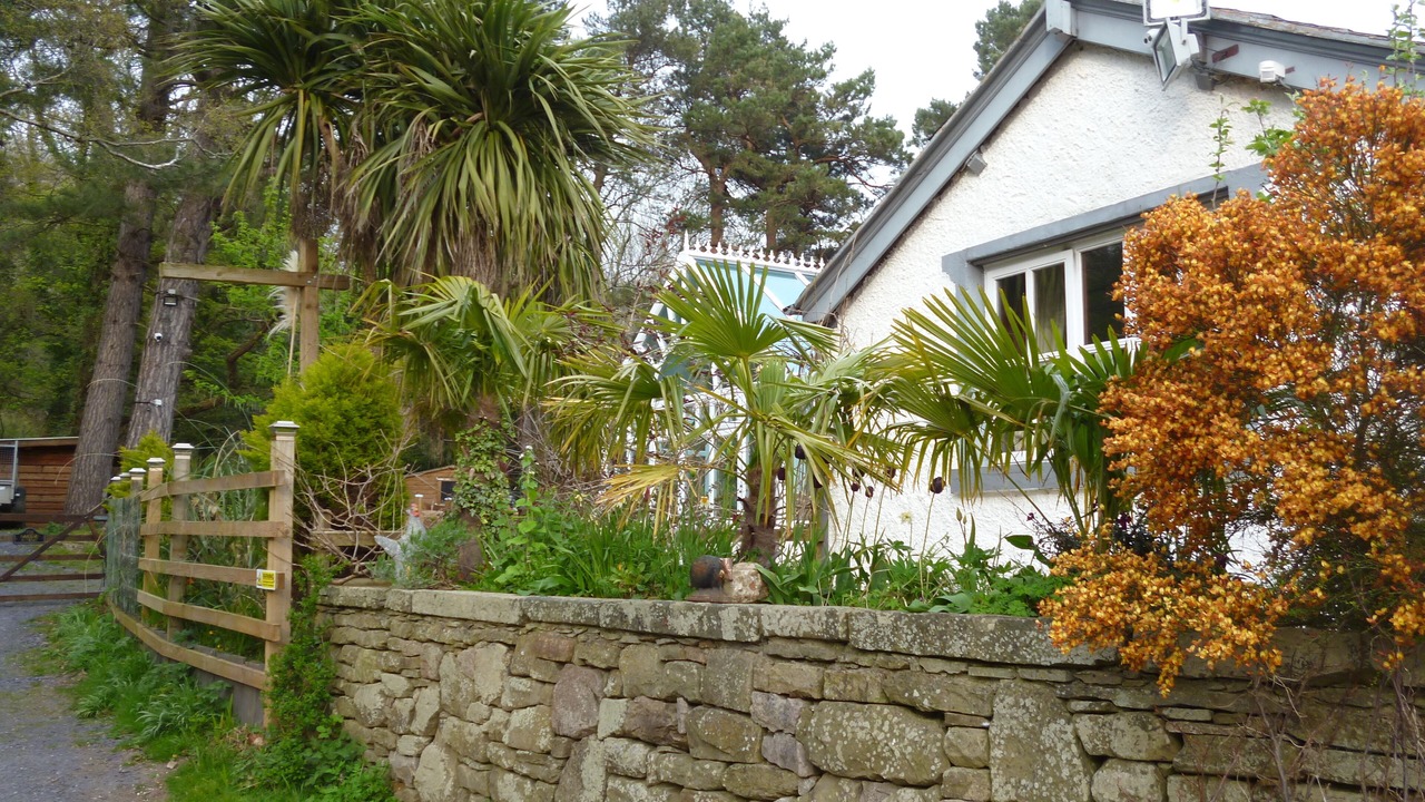 Photo of Outdoor in St George
