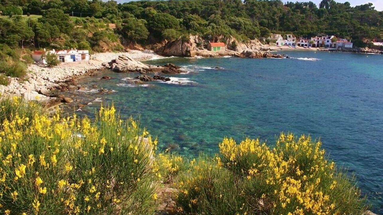 Photo of Outdoor in Palamos
