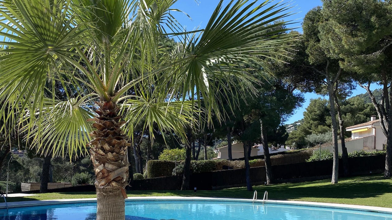 Photo of Outdoor in Aiguablava