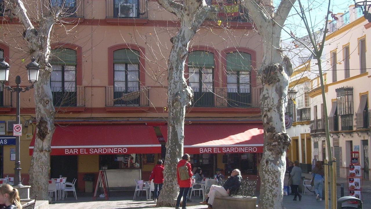 Photo of Outdoor in Alameda