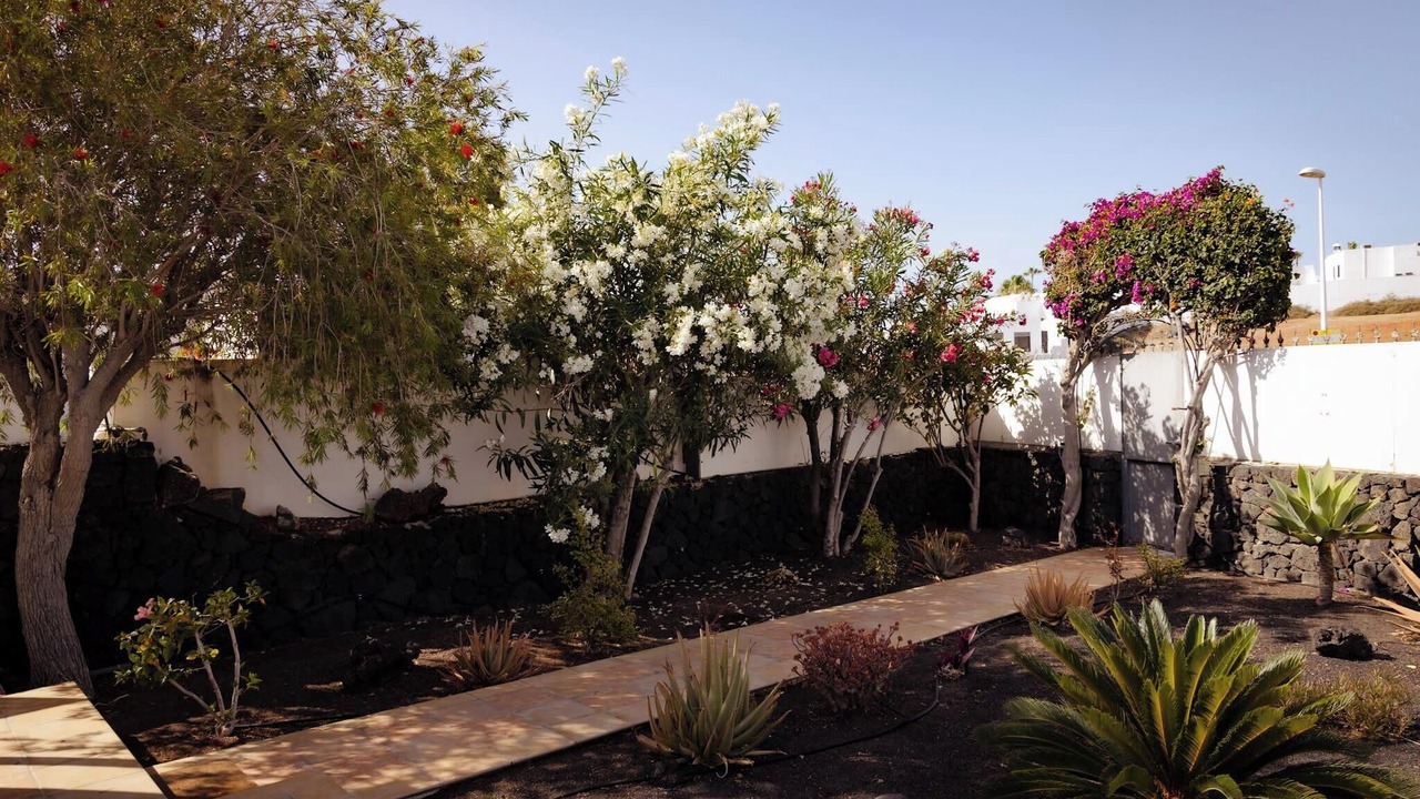 Photo of Outdoor in Los Pocillos