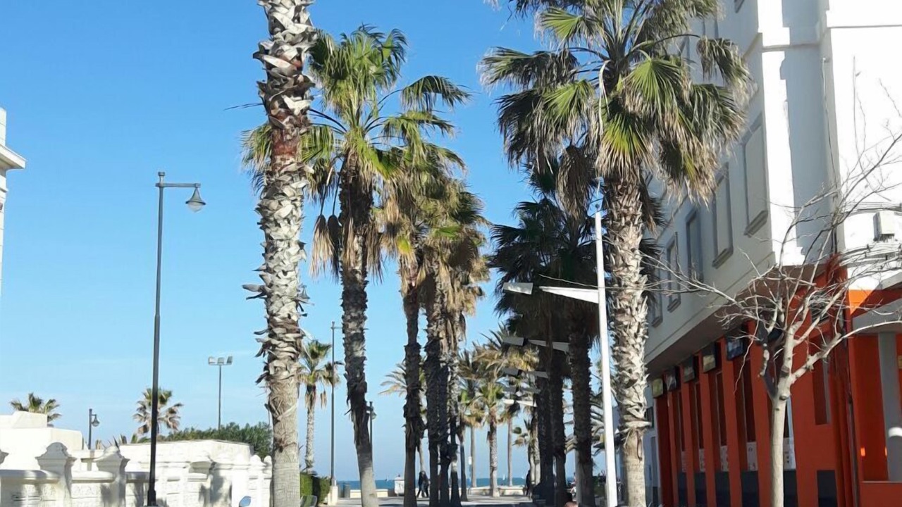 Photo of Outdoor in El Cabanyal