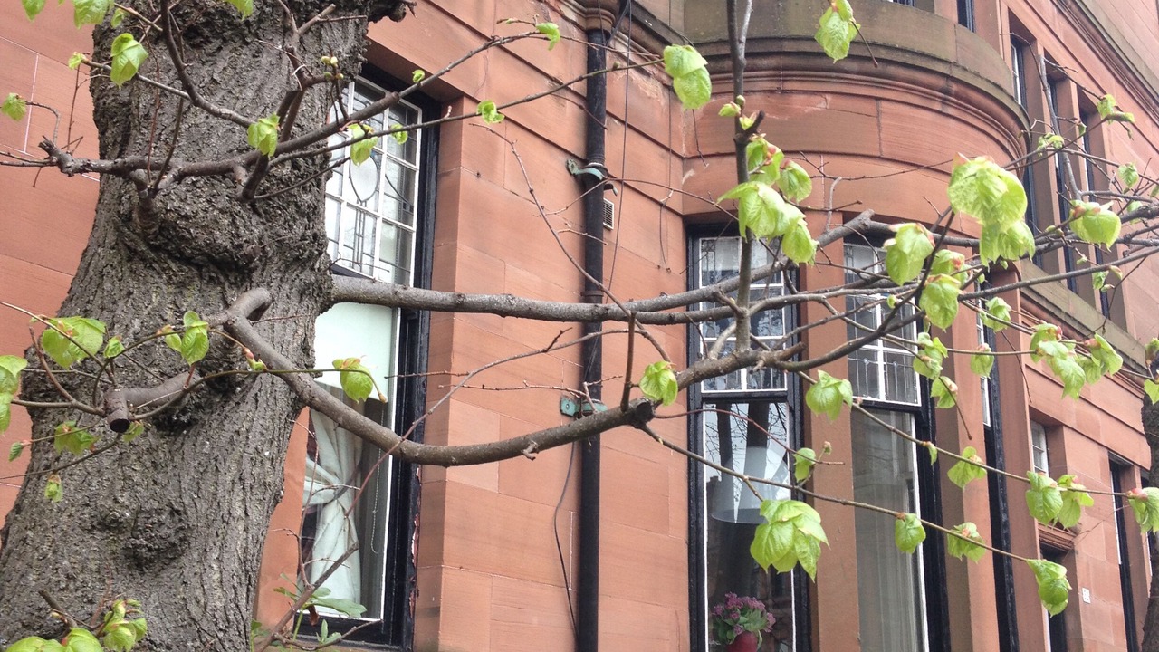 Photo of Outdoor in Dowanhill