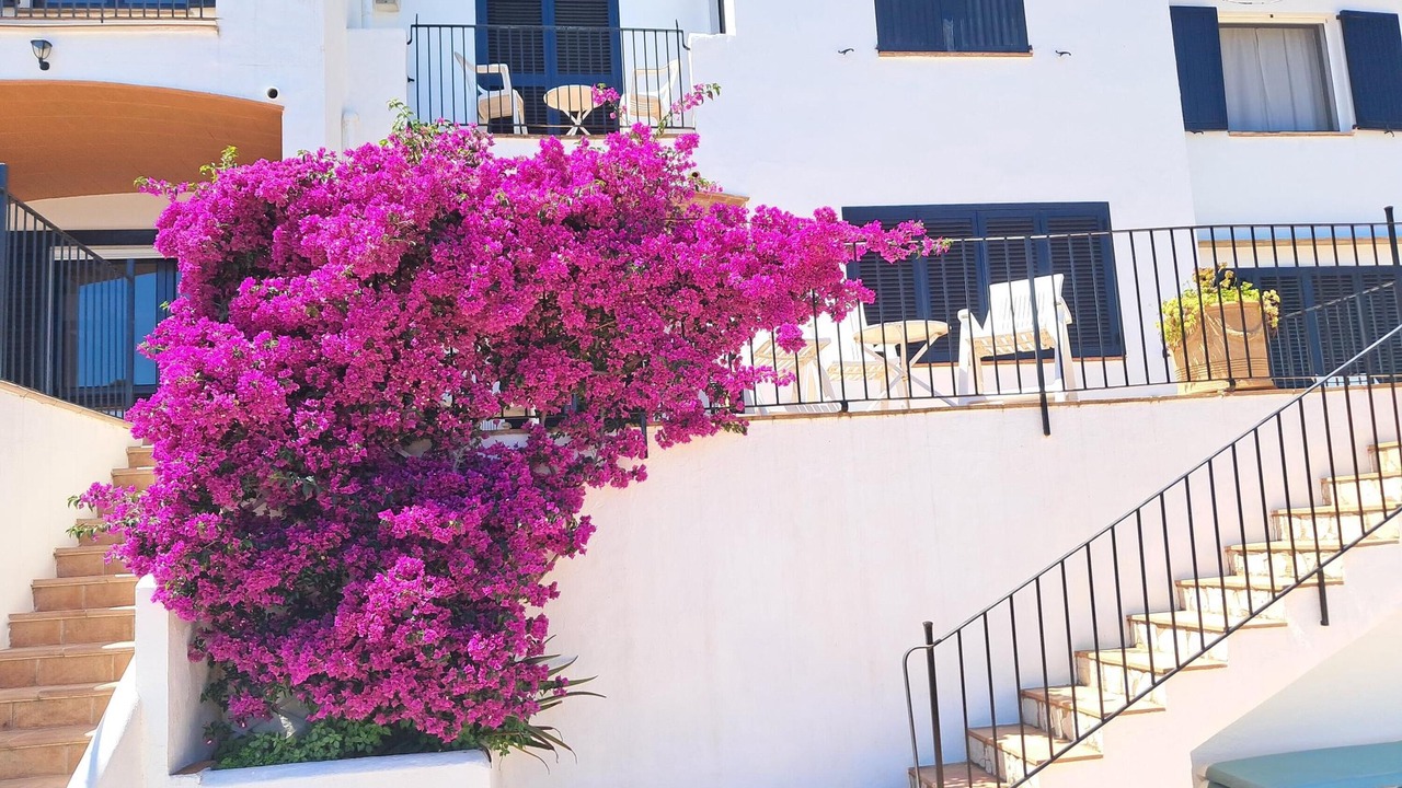 Photo of Outdoor in Tamariu