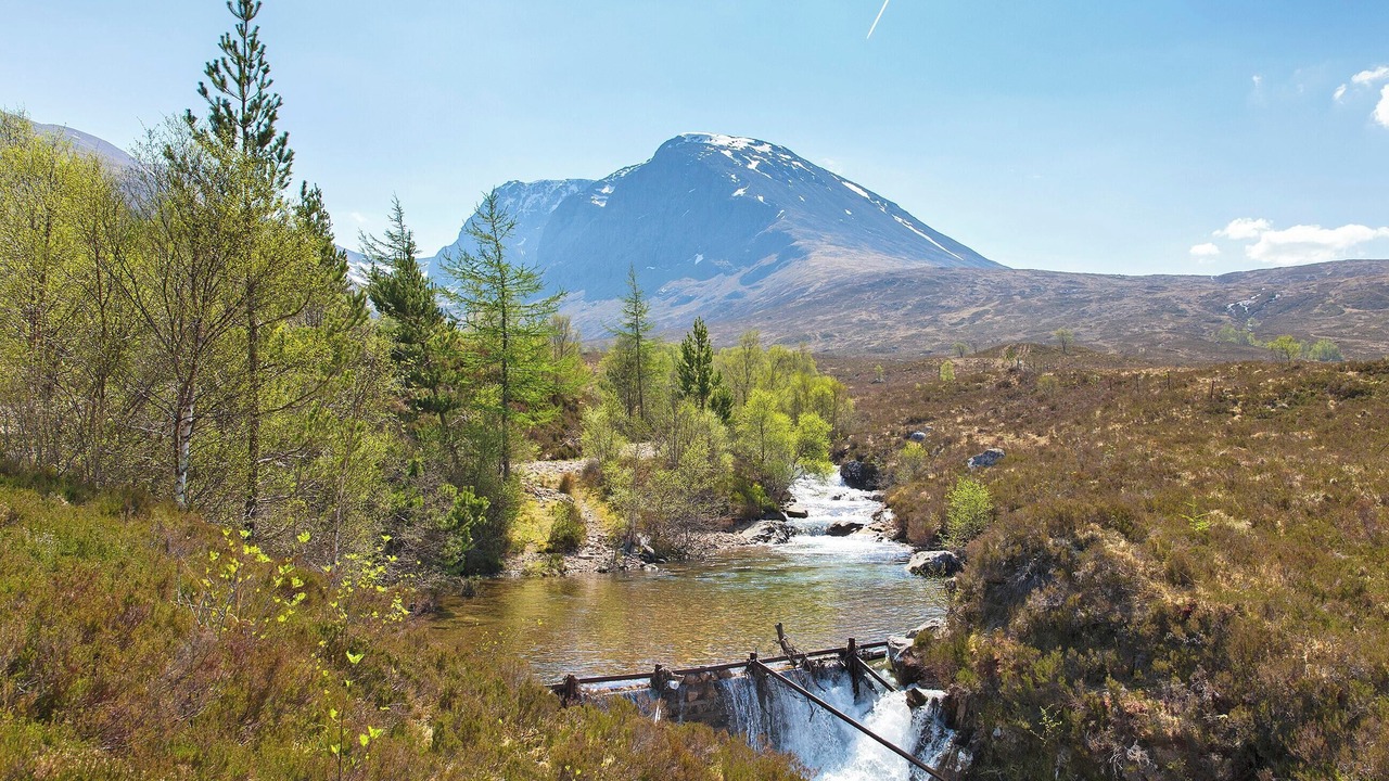 Photo of Others in Marybank