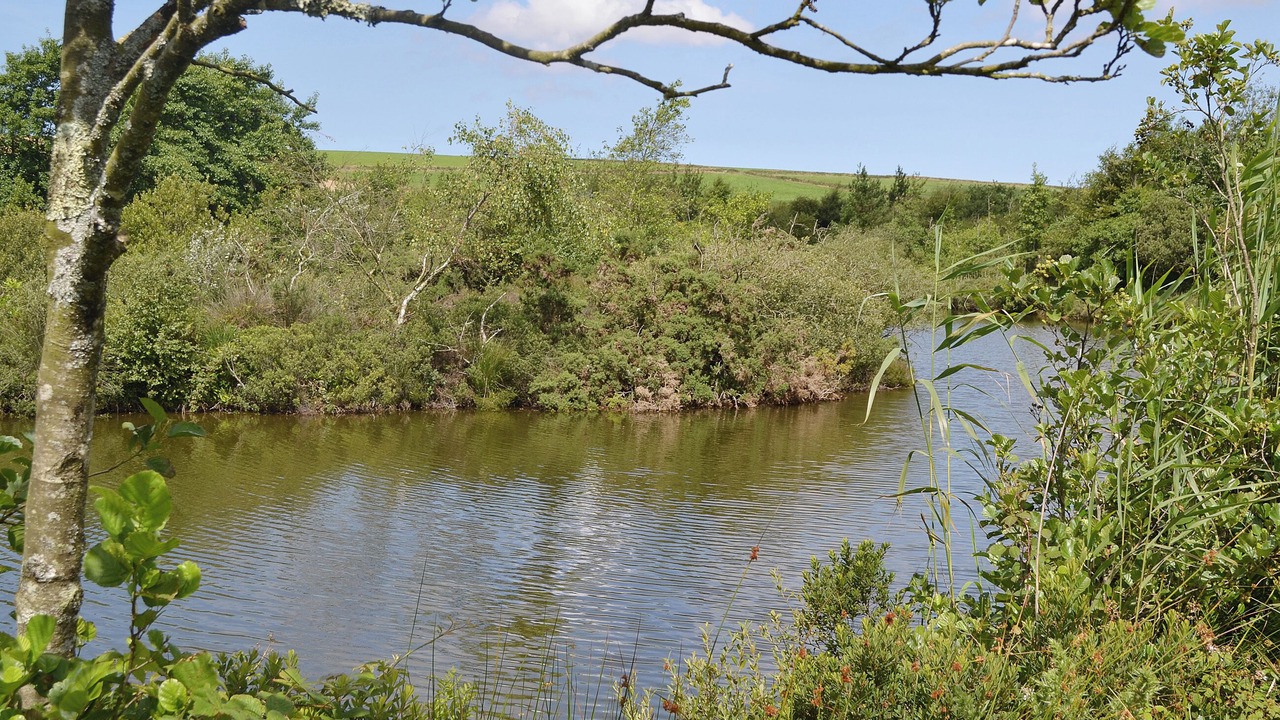 Photo of Outdoor in Winnard's Perch