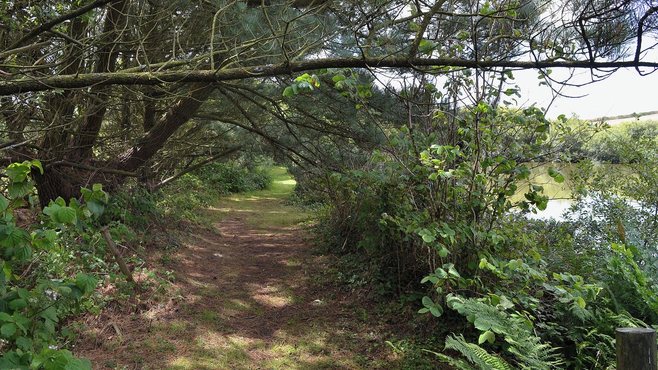 Photo of Outdoor in Winnard's Perch
