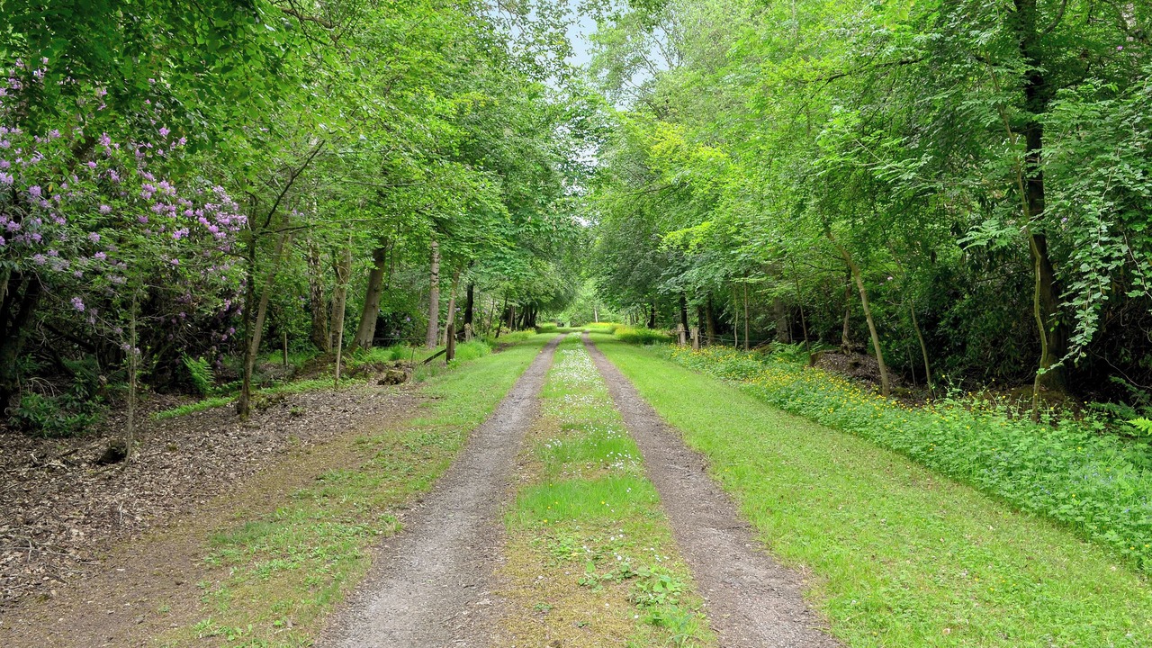 Photo of Outdoor in Sorn