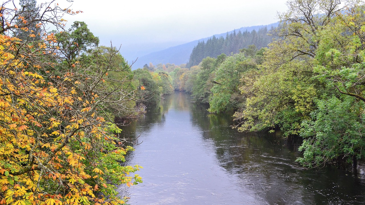 Photo of Others in Strathyre