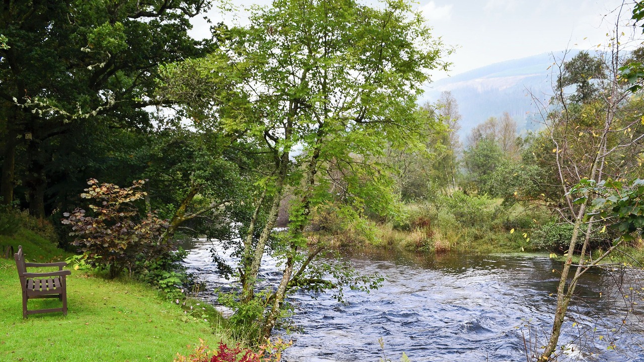 Photo of Others in Strathyre