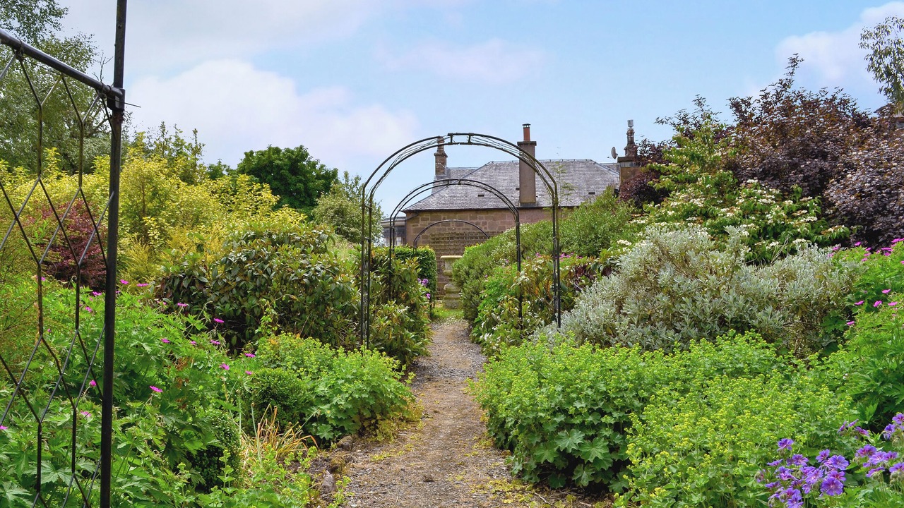 Photo of Outdoor in Sorn