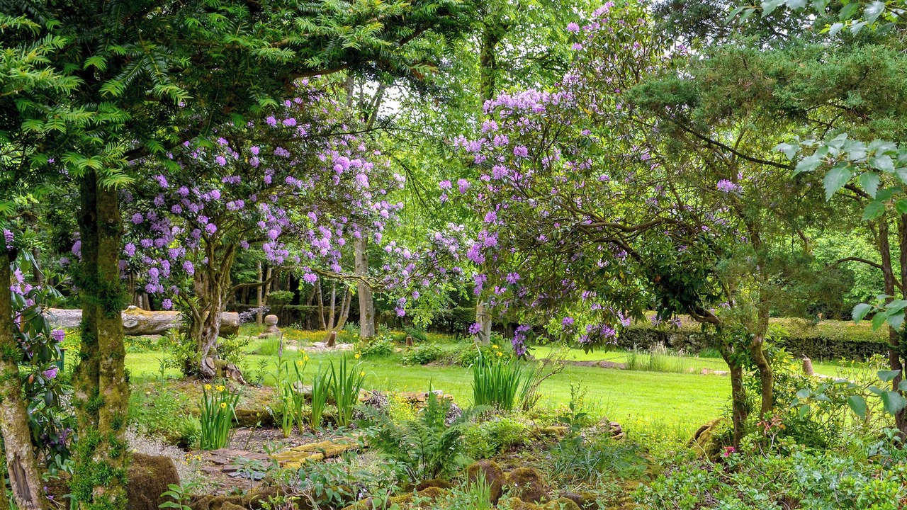 Photo of Outdoor in Sorn
