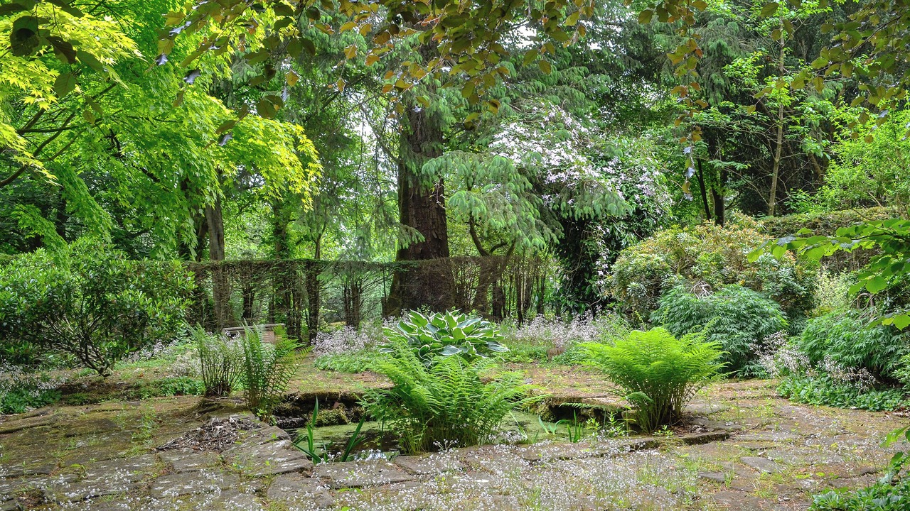 Photo of Outdoor in Sorn