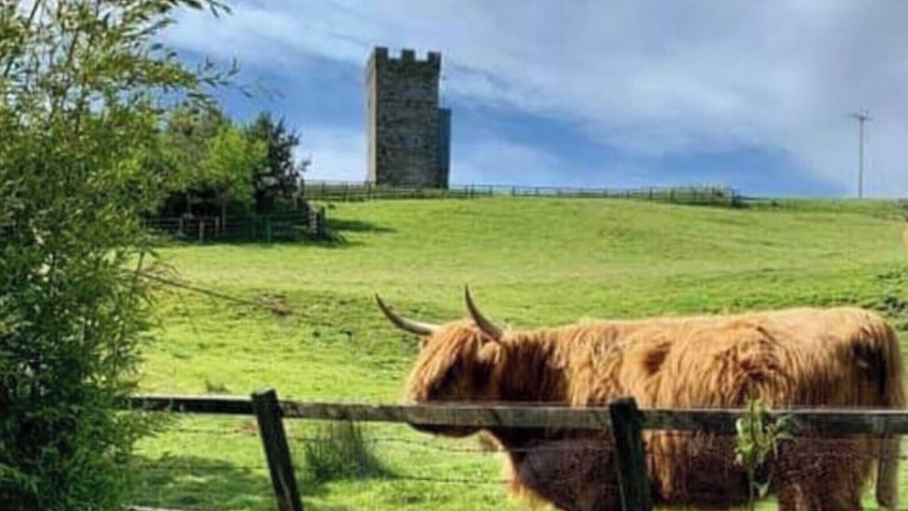 Photo of Outdoor in Kilkenzie