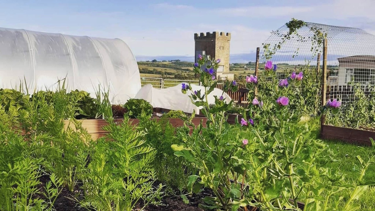Photo of Outdoor in Kilkenzie