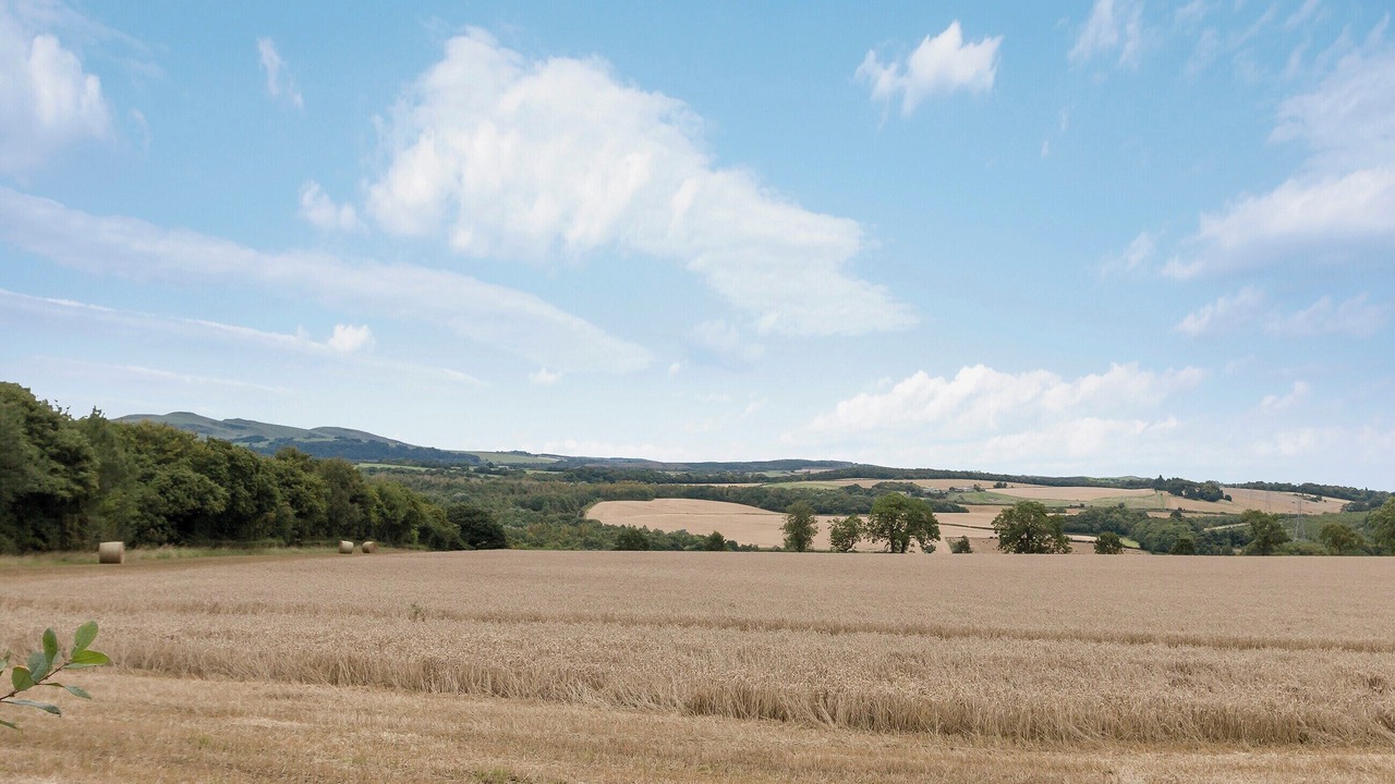 Photo of Others in Airth