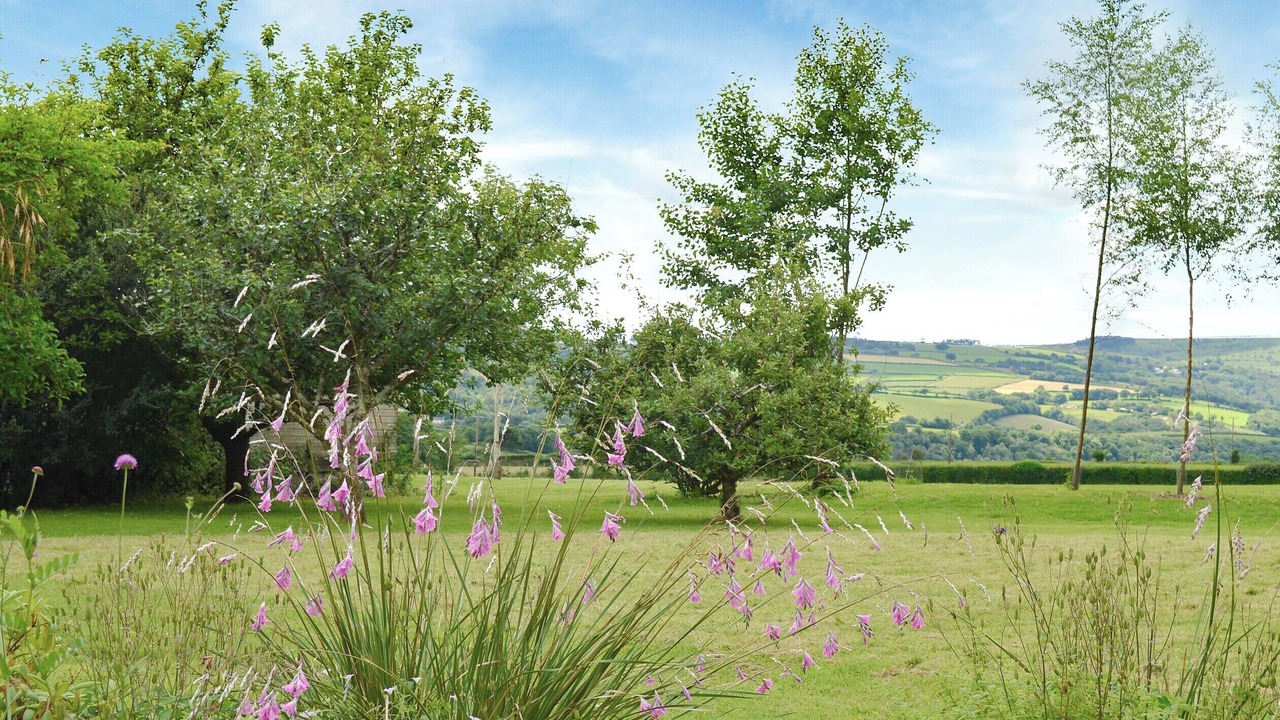 Photo of Outdoor in Callington