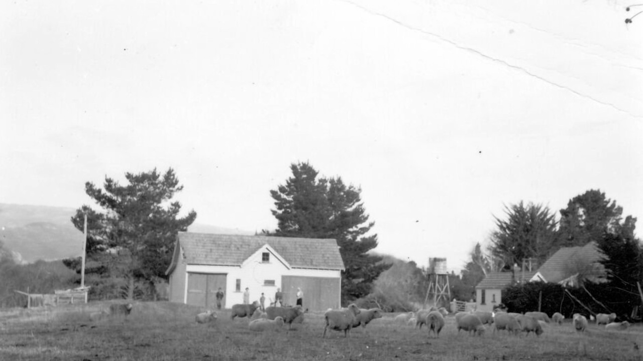 Photo of Others in Waipara