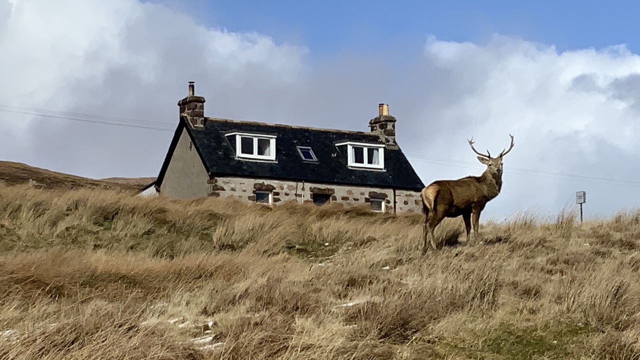 Photo of Others in Oldshoremore