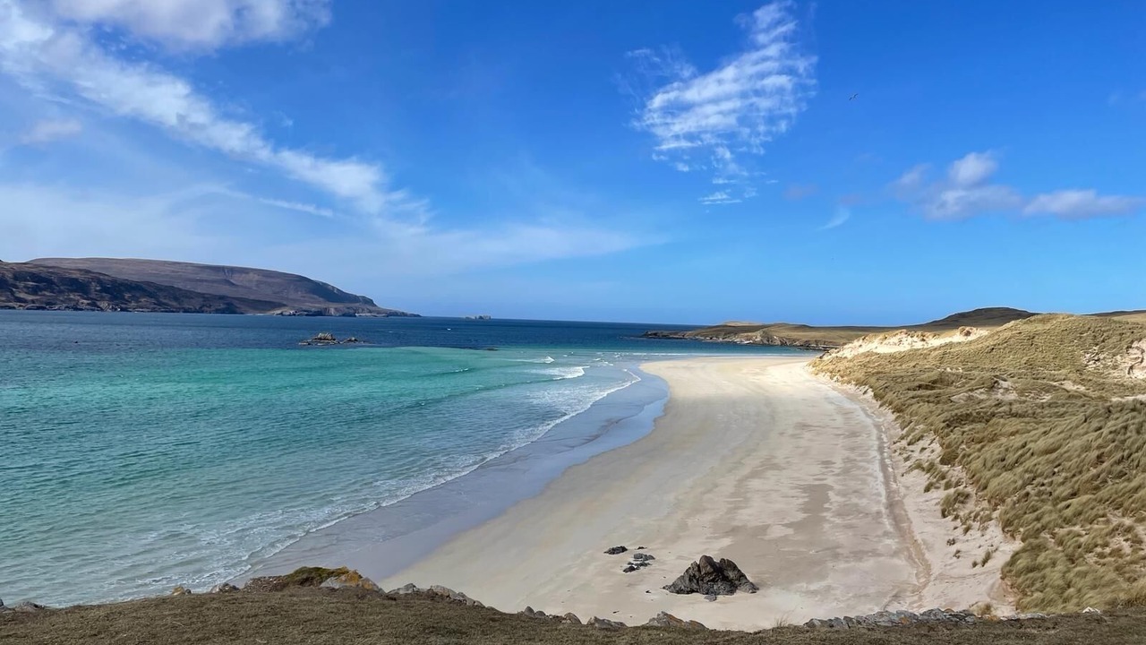 Photo of Others in Oldshoremore