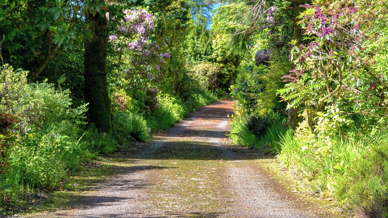 Photo of Others in Colintraive