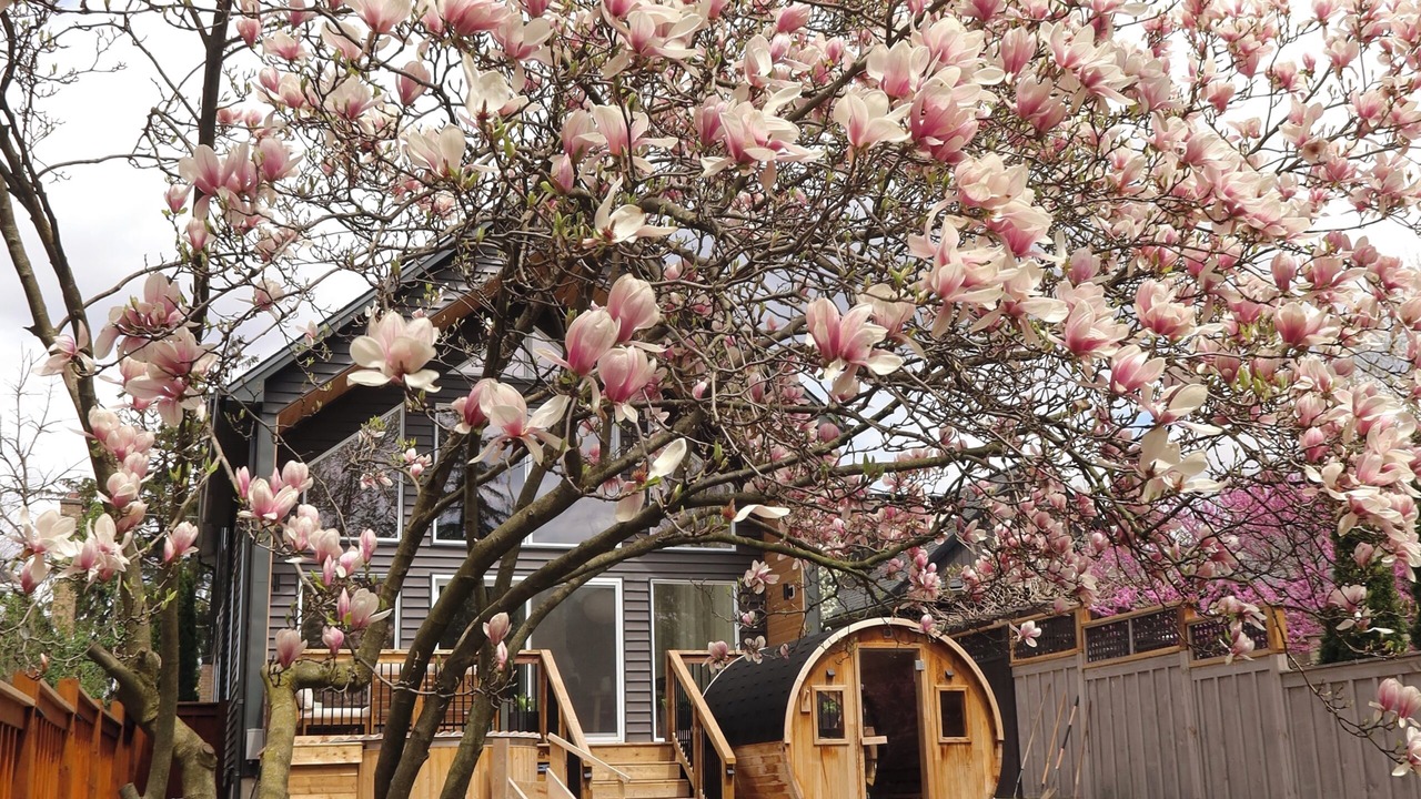 Photo of Outdoor in Highland