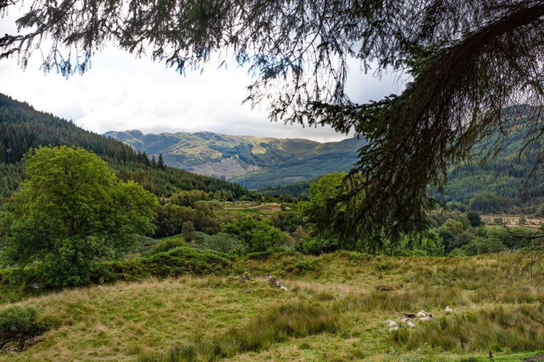 Photo of Others in Lochearnhead