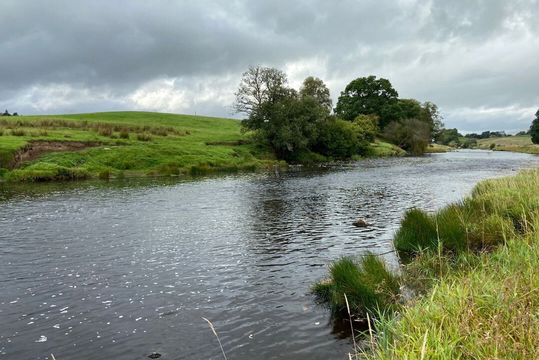 Photo of Others in Sanquhar