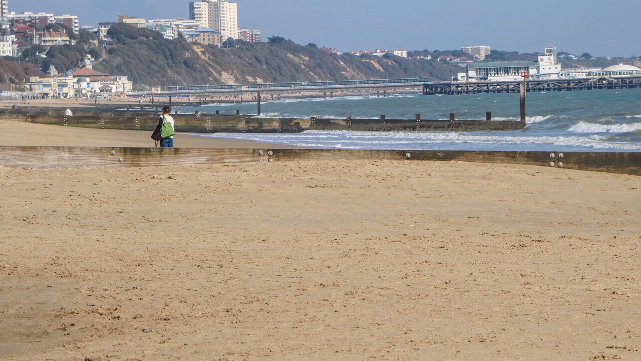 Photo of Others in Westbourne