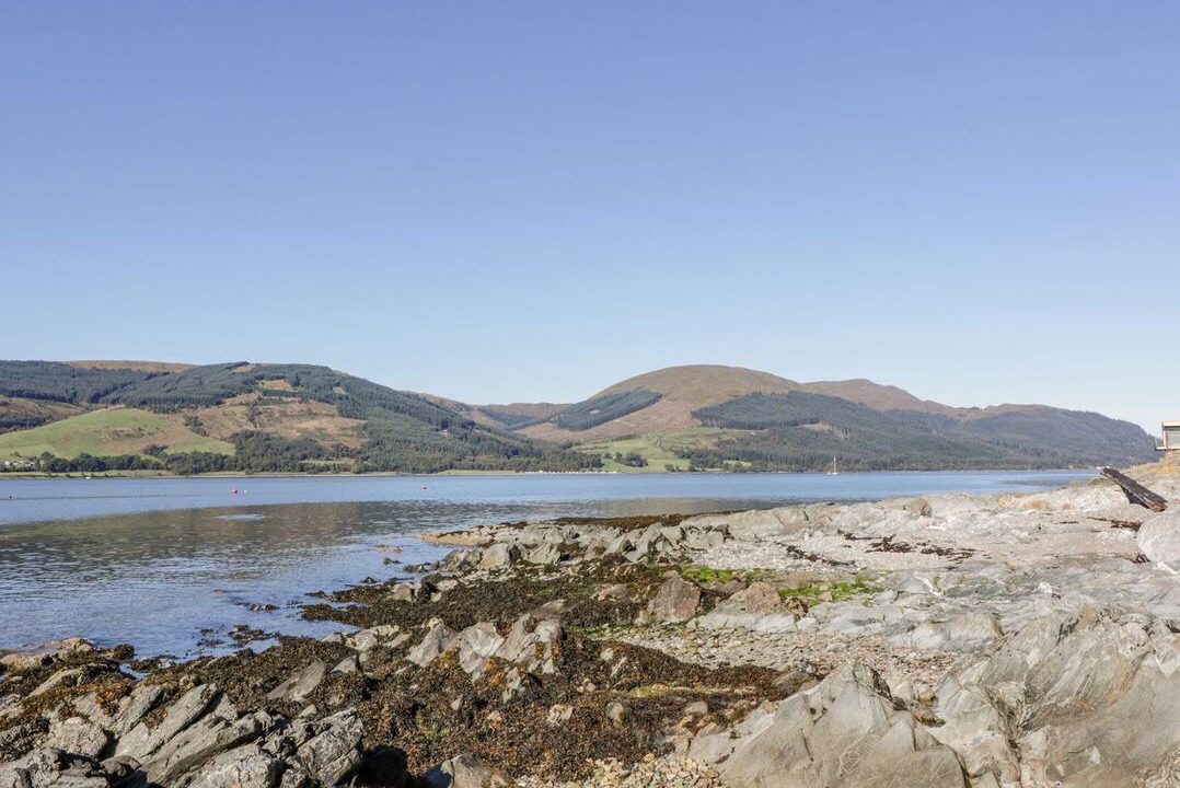 Photo of Others in Cove